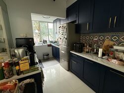 Le Reve (D14), Condominium #588206421